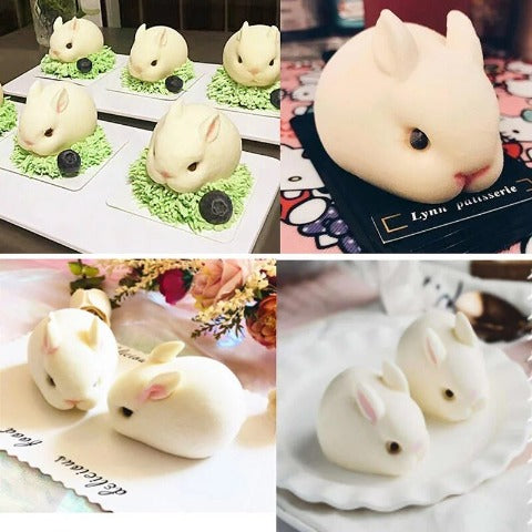 moule-lapin-silicone-presentation